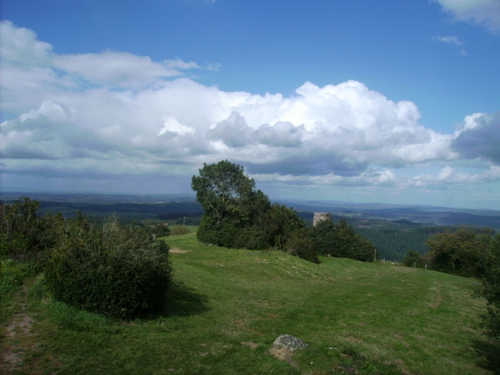 Vue du sommet de la butte - Suin