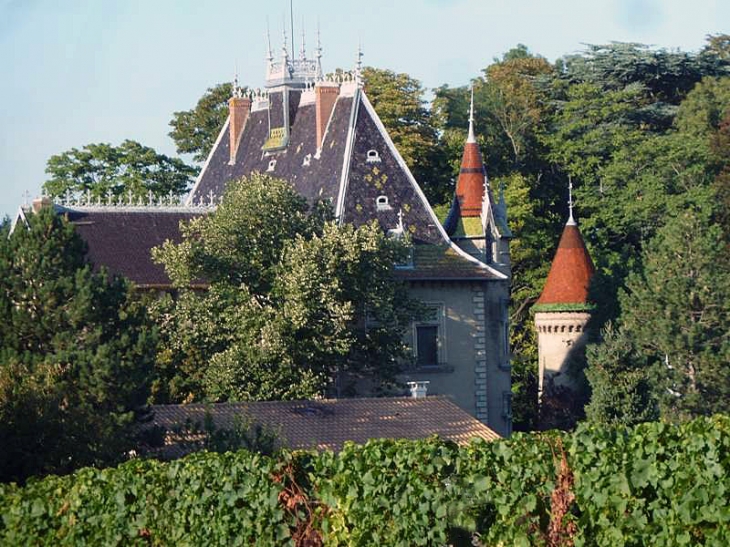 Vue sur le château - Vinzelles