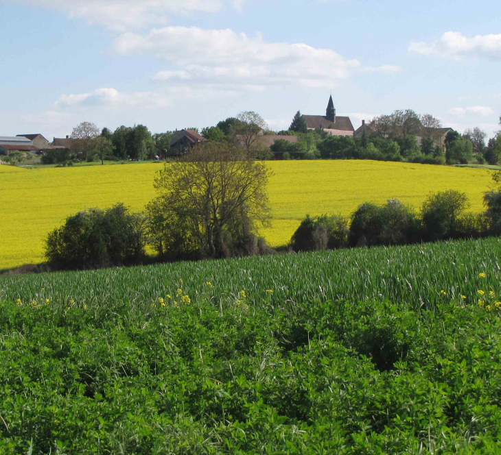 J'aime LE CONTRASTE VIOLENT DU VERT ET DU JAUNE  et l'église qui trône tout en haut !  - Beauvoir