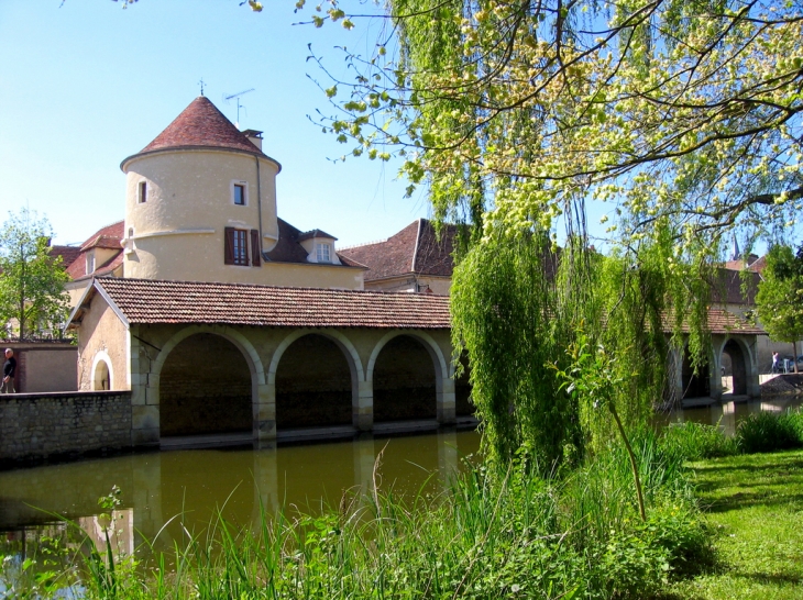 Le vieux lavoir, au bord du Serein - Chablis