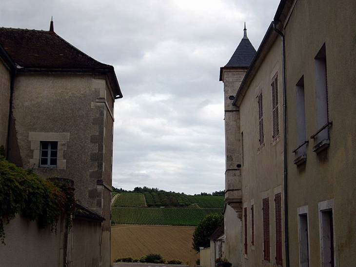 Le vignoble au bout de la rue - Coulanges-la-Vineuse