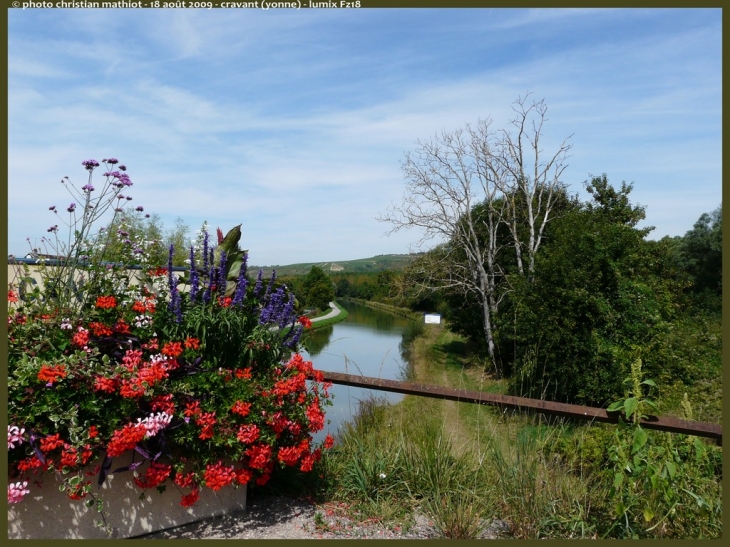 Les bords de l'Yonne à Cravant