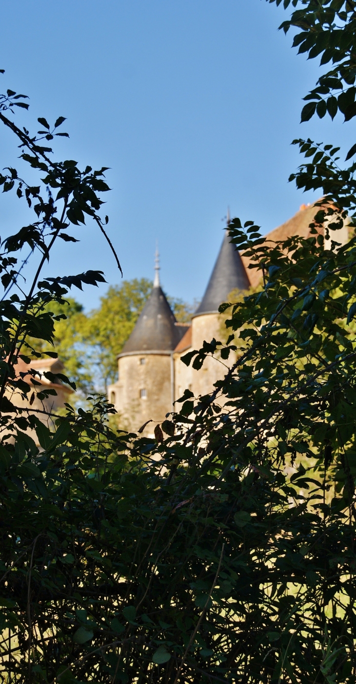 ***Château de Domecy-sur-Cure 15 Em Siècle