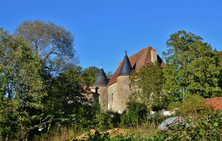 ***Château de Domecy-sur-Cure 15 Em Siècle