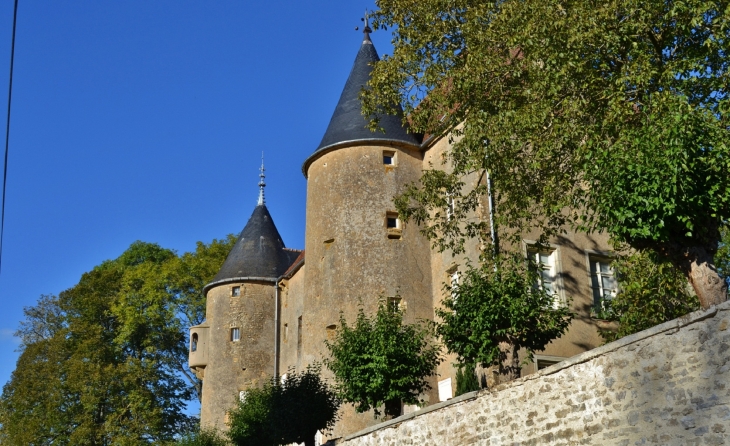 ***Château de Domecy-sur-Cure 15 Em Siècle