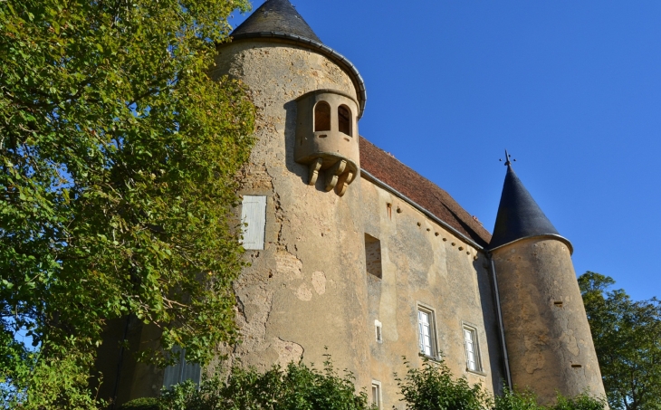 ***Château de Domecy-sur-Cure 15 Em Siècle