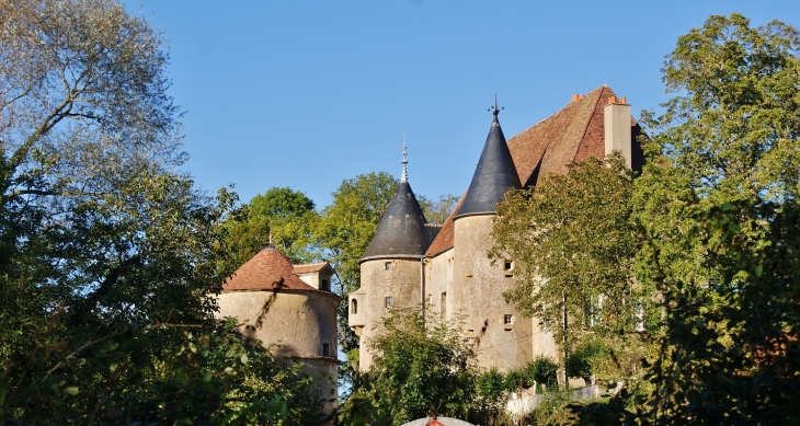 ***Château de Domecy-sur-Cure 15 Em Siècle