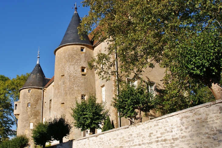 ***Château de Domecy-sur-Cure 15 Em Siècle