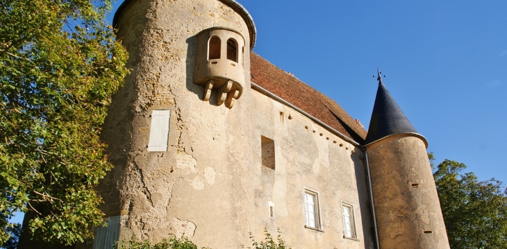 ***Château de Domecy-sur-Cure 15 Em Siècle