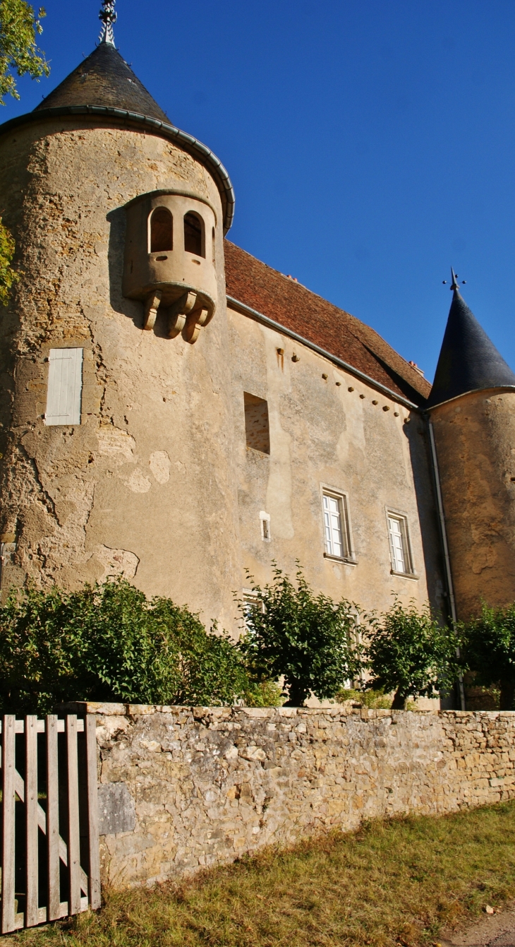 ***Château de Domecy-sur-Cure 15 Em Siècle