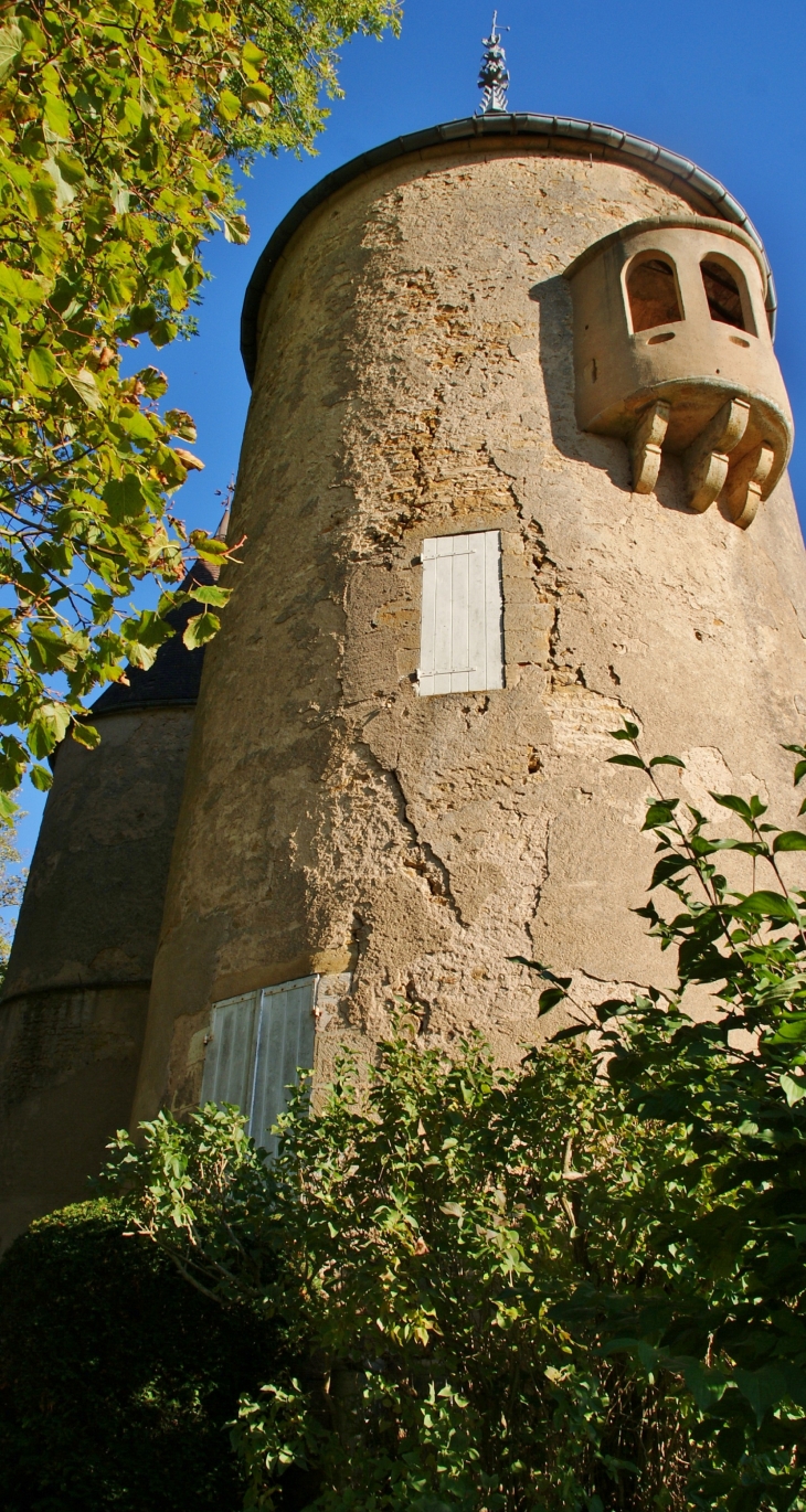 ***Château de Domecy-sur-Cure 15 Em Siècle