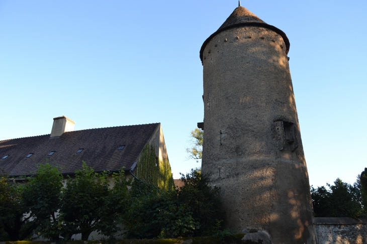 Ancienne Abbaye de St Martin de Cure - Domecy-sur-Cure