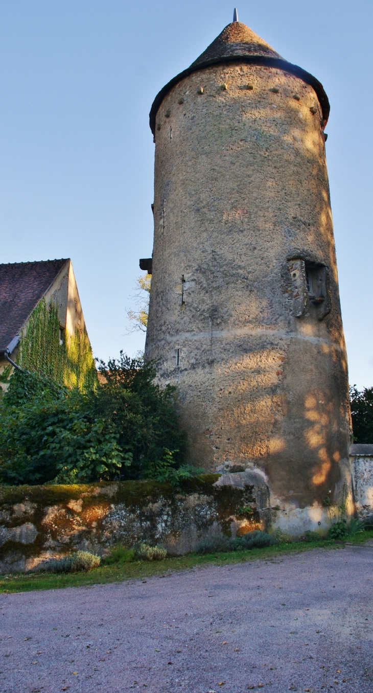 Tour de l'Ancienne Abbaye de St Martin de Cure - Domecy-sur-Cure