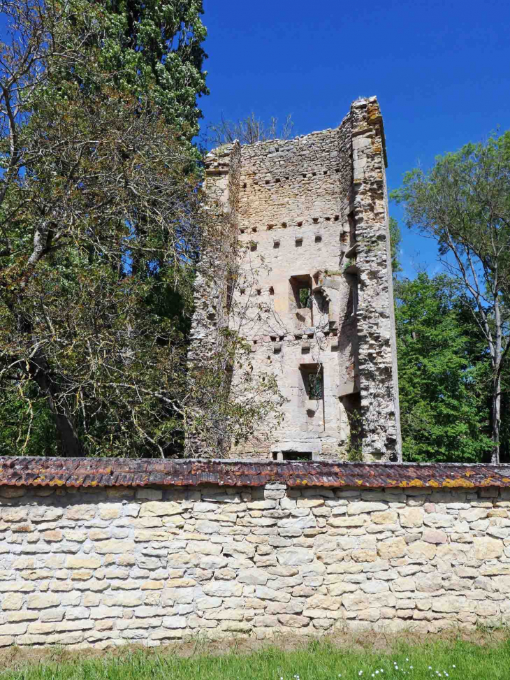 La tour Brunehaut - Girolles