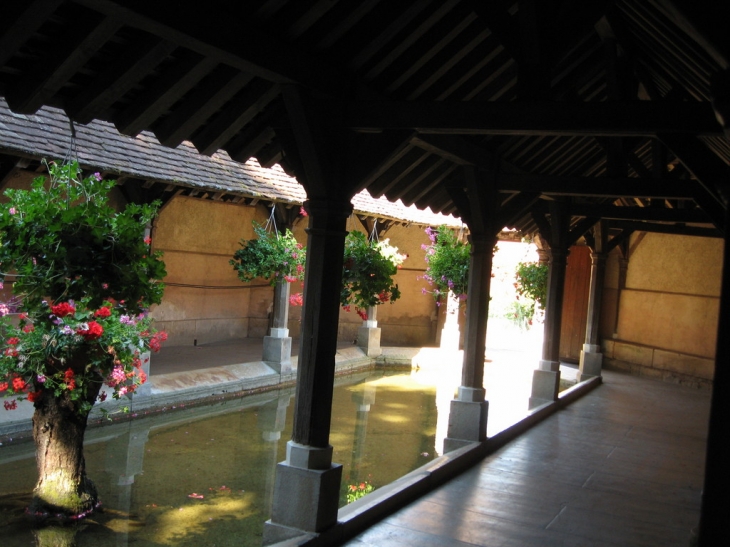 Interieur du lavoir - Gy-l'Évêque