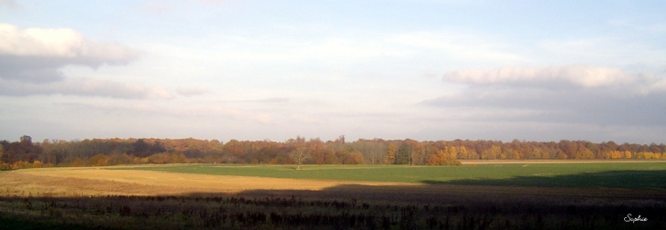 Soleil-sur-le-plateau-des-fourneaux - Les Bordes