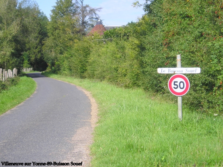 Buisson Souef - Les Bordes