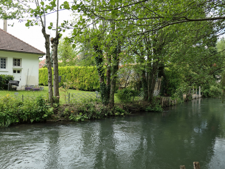 Au bord de la Vanne - Malay-le-Grand