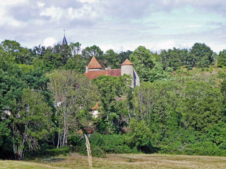 Vue sur la maison forte et le clocher de l'église - Pierre-Perthuis