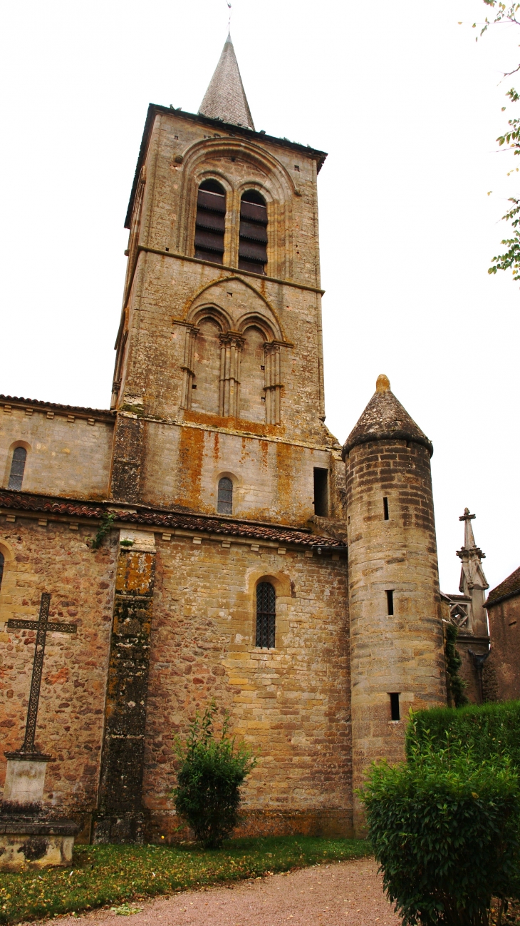 église Notre-Dame de la Nativité 13 Em Siecle - Pontaubert