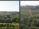 les vignes et vue sur Préhy