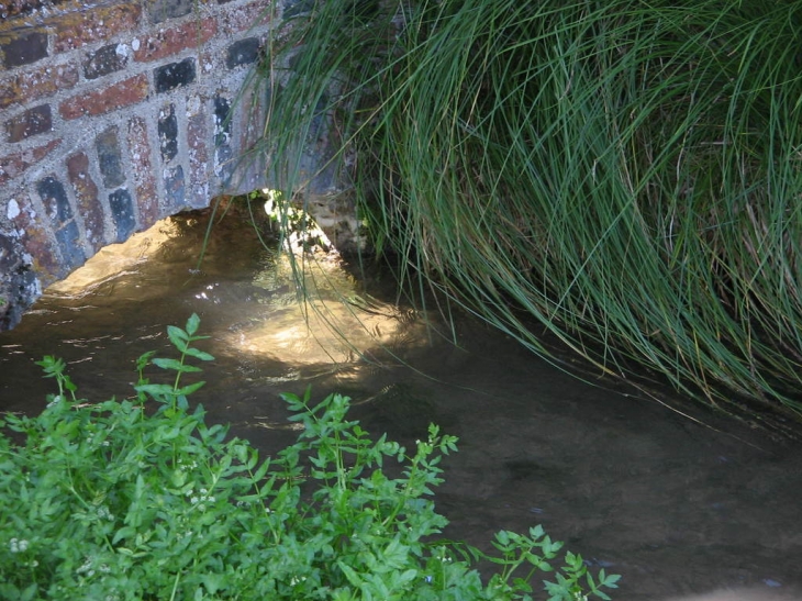 Ruisseau du lavoir - Rousson