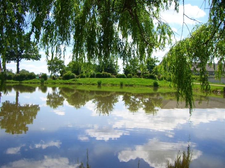 Petit lac - Saint-André-en-Terre-Plaine