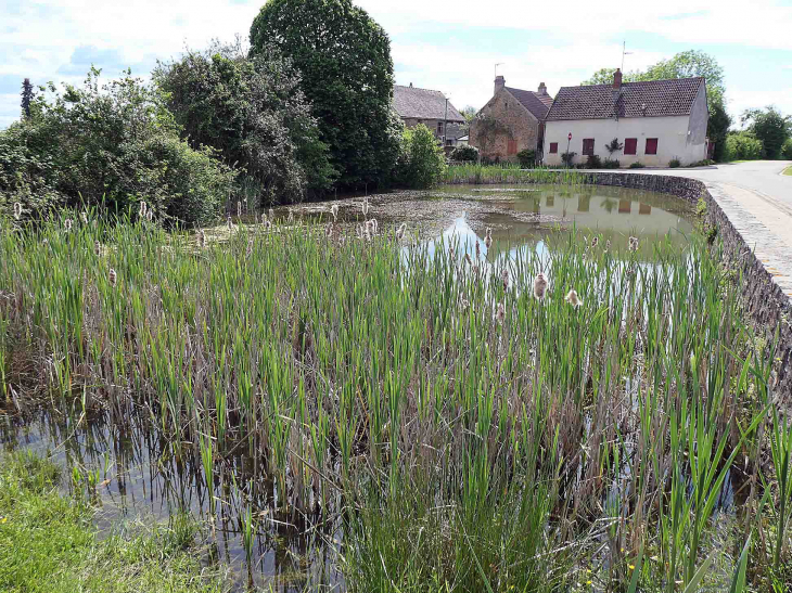 LMontjalin : la mare - Sauvigny-le-Bois