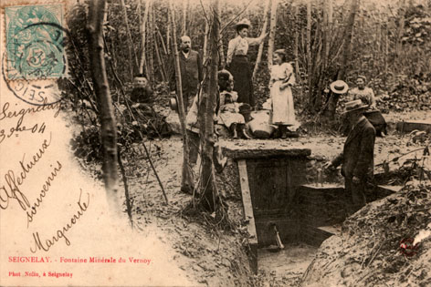 Bois du Vernoy, fontaine minérale - Seignelay