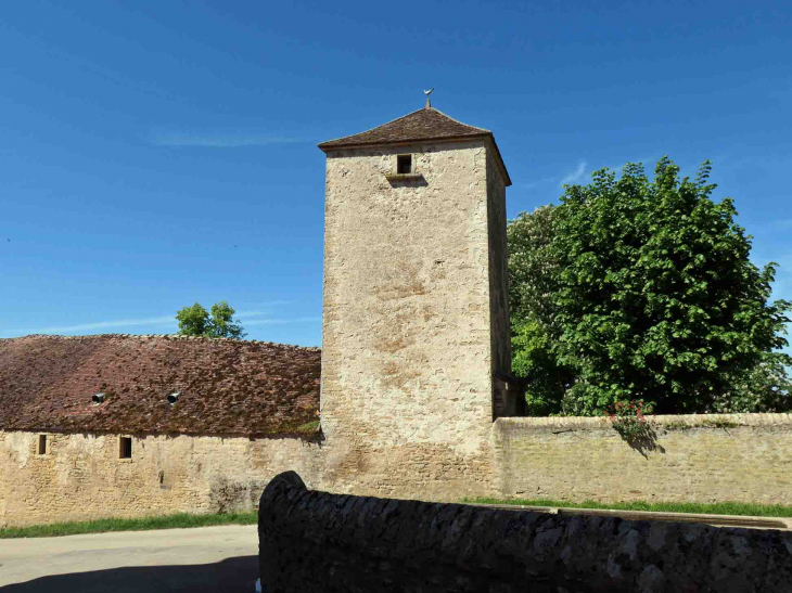 Ferme dans le village - Tharoiseau