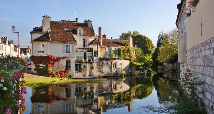 Maisons au Bord de l'Armançon - Tonnerre