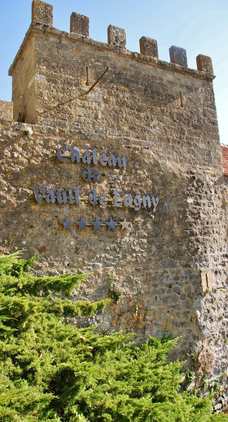 ***Château de Vault-de-Lugny