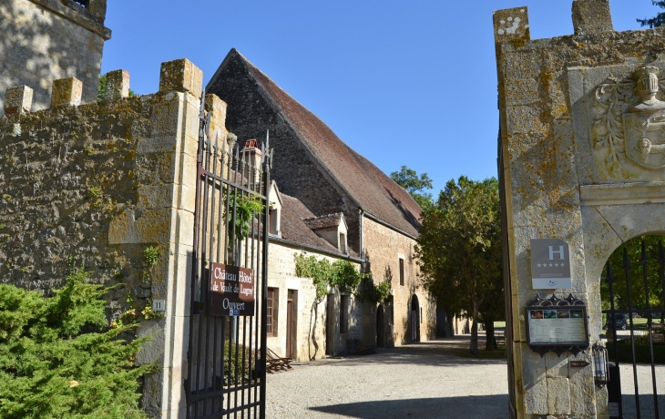 ***Château de Vault-de-Lugny