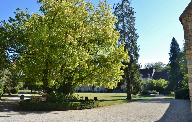 ***Château de Vault-de-Lugny