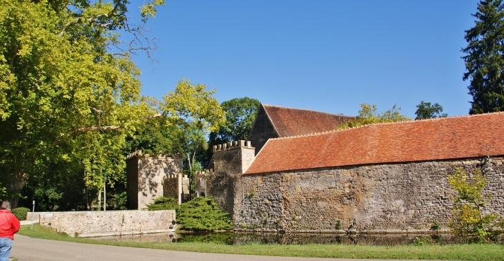 ***Château de Vault-de-Lugny