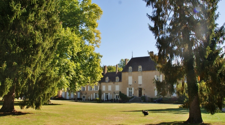 ***Château de Vault-de-Lugny