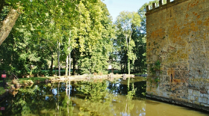 ***Château de Vault-de-Lugny