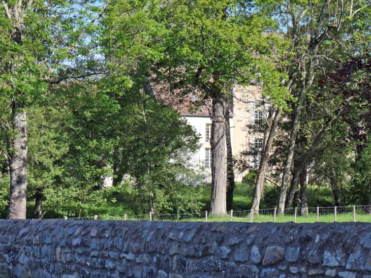 Le château dans son parc - Vault-de-Lugny