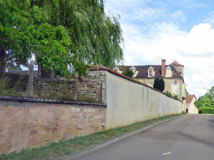 Vers le château - Vignes