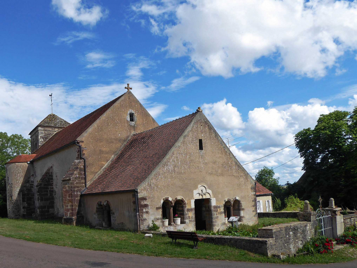 L'église - Vignes