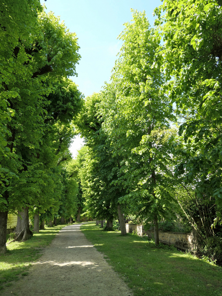 La Promenade de l'Eglise - Villeneuve-l'Archevêque