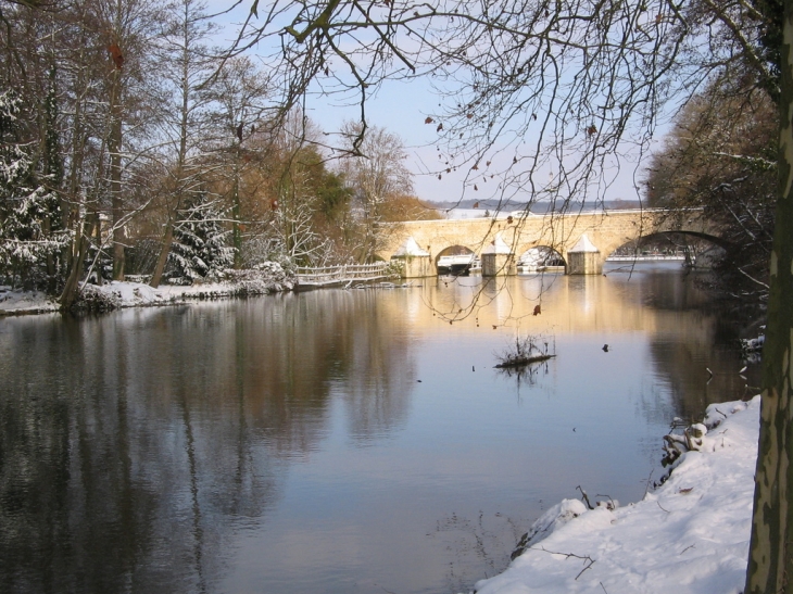 Fausse rivière - Villeneuve-sur-Yonne