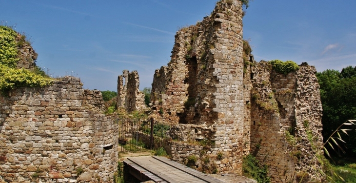 Ruines du Château  - Créhen