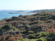 l'îlot Saint Michel vue de la falaise