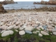 Photo précédente de Île-de-Bréhat île du Nord : la côte de granit rose