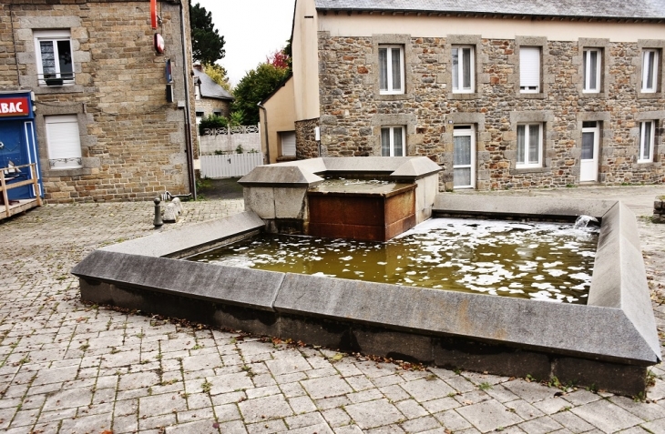 Fontaine - Merdrignac