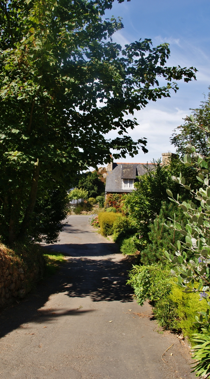 Port-Blanc ( Commune de Penvenan ) - Penvénan