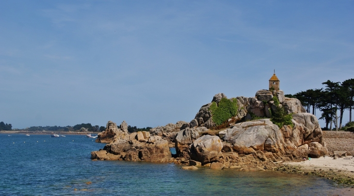 Port-Blanc ( Commune de Penvenan )(Baie de Trestel) - Penvénan