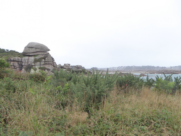 Ploumanach : la côte de granit rose - Perros-Guirec