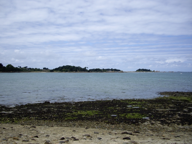 Plage de Gouermel - Plougrescant